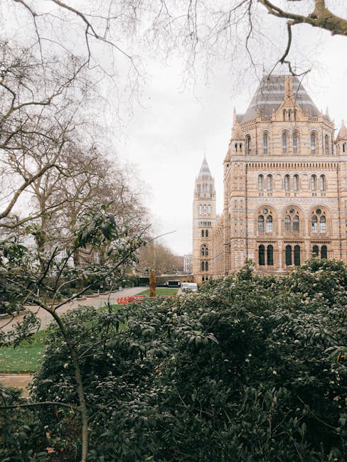 Exterior view of a historic stone building with intricate architectural details, including arched windows and decorative turrets, situated in an urban environment with leafless tree branches in the foreground. Below the building, there is a landscaped area featuring small palm trees, large rocks, and a paved pathway, with groups of people walking nearby. In the background, scaffolding indicates ongoing restoration or construction work. This scene is captured during daylight with soft, natural lighting, reflecting a typical setting for moving and relocation services in a city like South Kensington, relevant to house removals and furniture transport, as referenced on southkensingtonmovers.co.uk in the context of a SW7 removals guide for moving near museums.